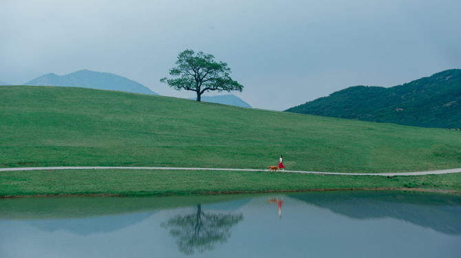 白鹭牧场实景