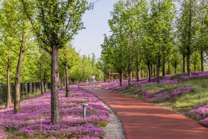 滨河运动公园实景